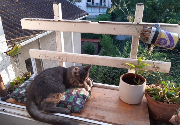 Pictures of Marta B.'s house
