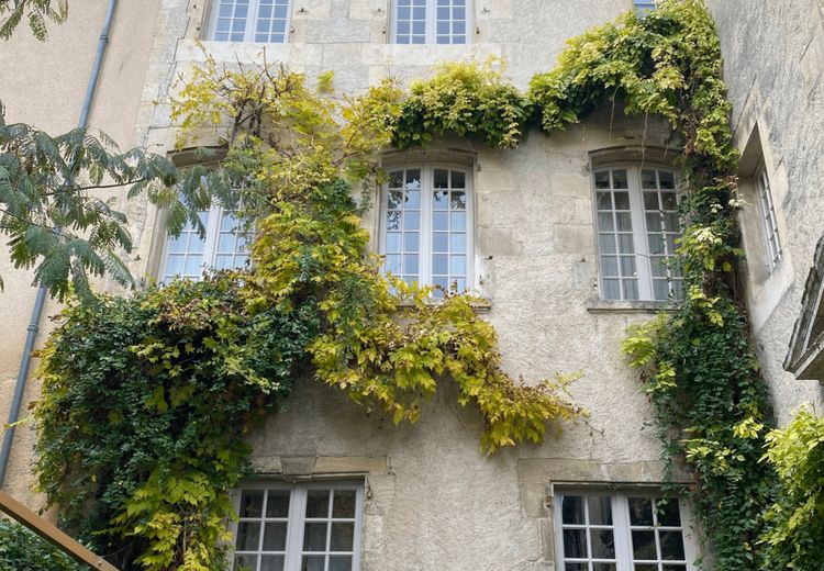 Pictures of Gwénaelle B.'s house