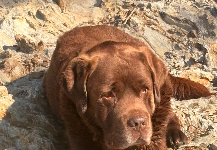 Pictures of Christine's house