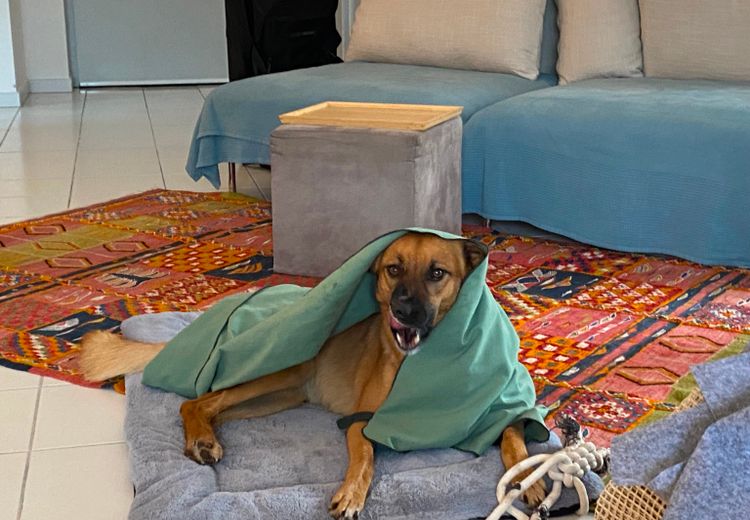 Pictures of Maddy & Naomi's house