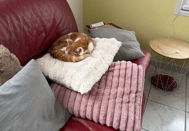 Pictures of Isabelle S.'s house
