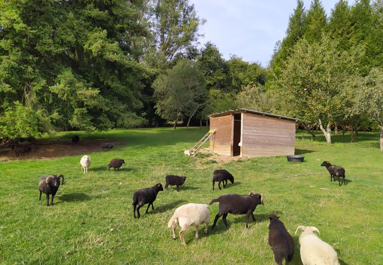 Des photos de la maison de François J.