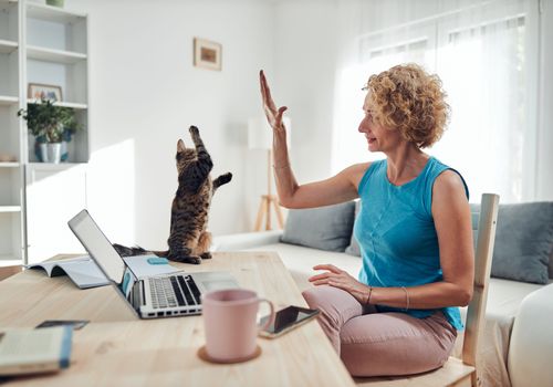 Strong communication helps lay the foundation for a successful home-sitting experience.