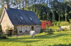 House with 4 dogs, 5 cats, 3 horses, 12 farm animals in Plouégat-Moysan