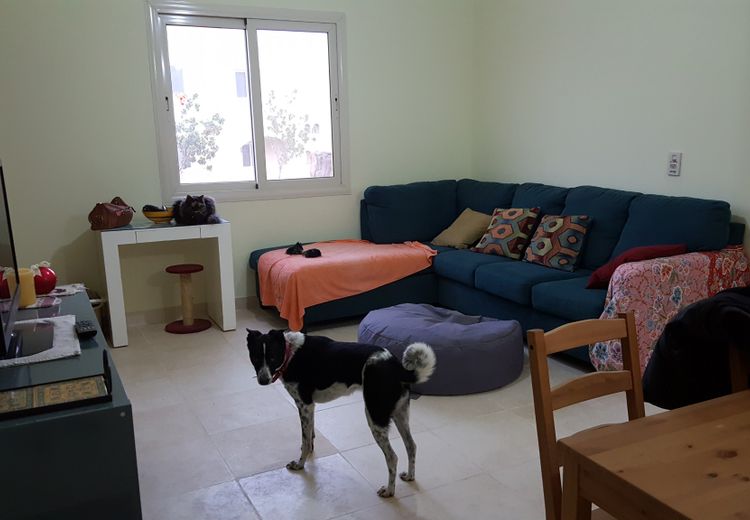Fotos von Laure Haus