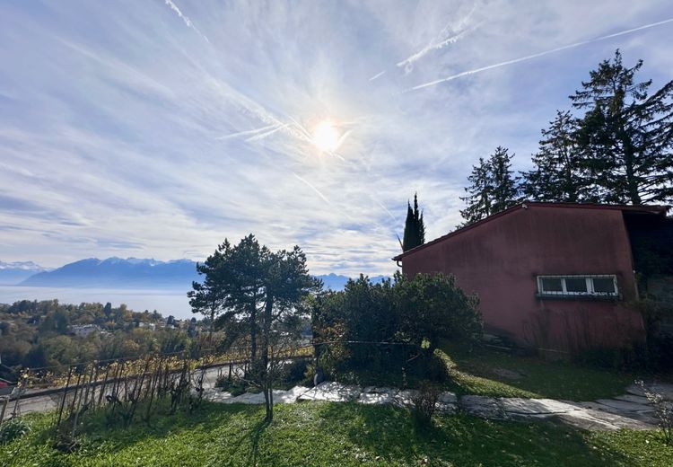 Pictures of YaelVdh's house