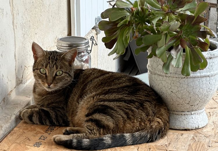 Des photos de la maison de caroline M.