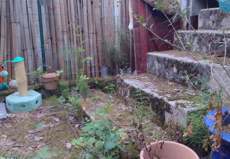 Des photos de la maison de Mimi