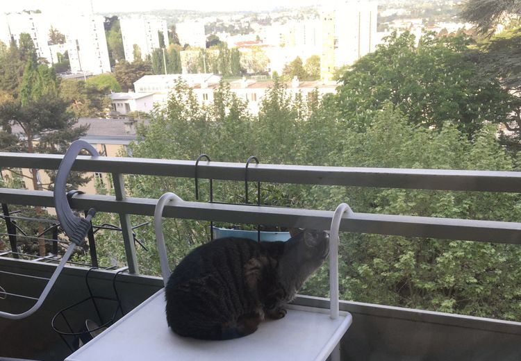 Des photos de la maison de Ingrid G.