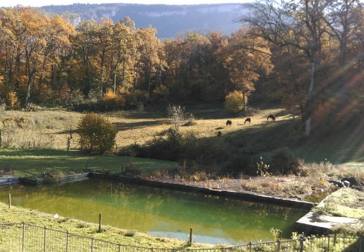 Fotos von Catherine et Xavier Haus
