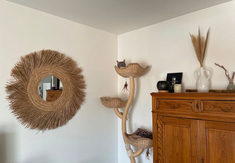 Pictures of Isabelle T.'s house