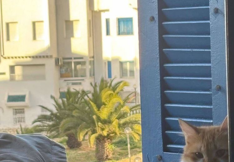 Pictures of Fatma A.'s house