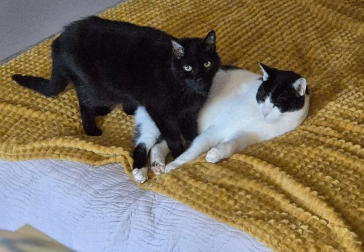 Des photos de la maison de Carole-Anne S.