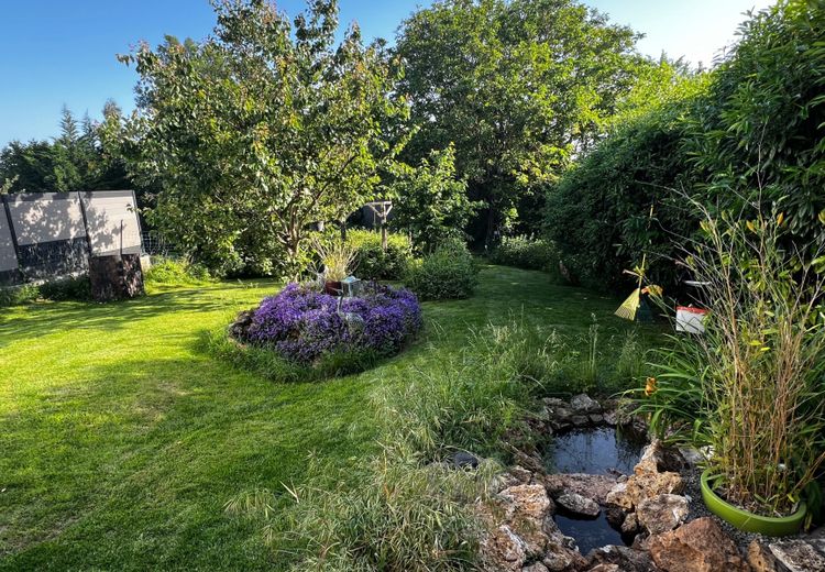 Pictures of David's house
