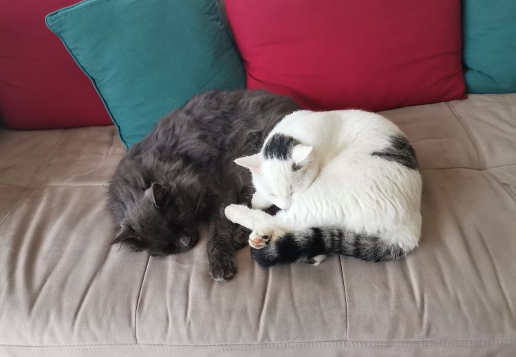 Fotos von Céline D. Haus