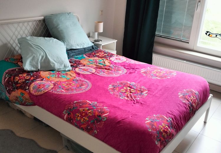 Pictures of Carmen's house
