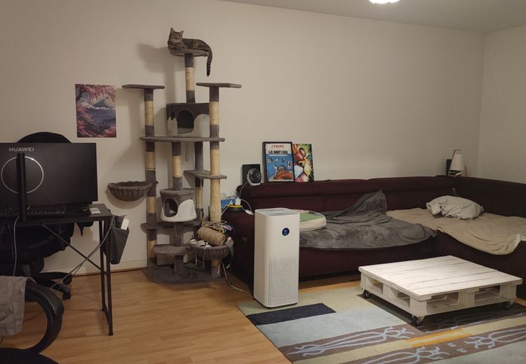 Pictures of Eva C.'s house