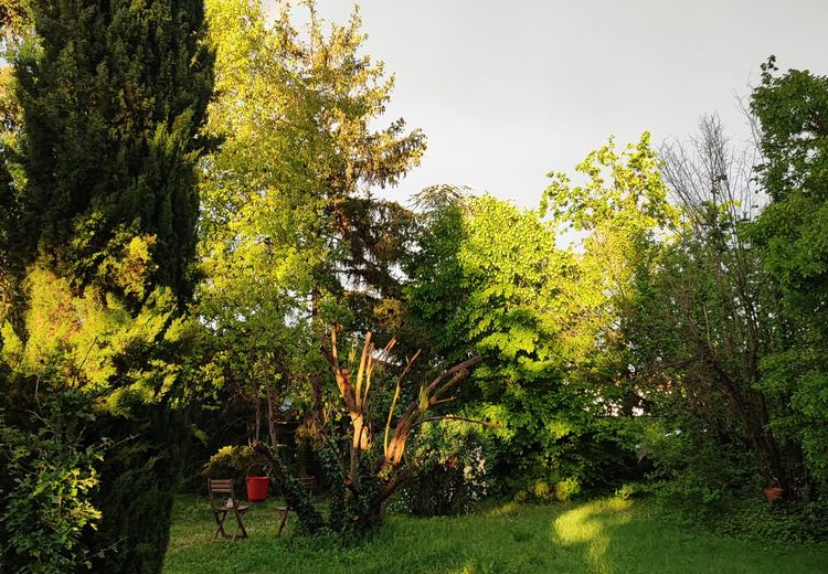 Des photos de la maison de Corinne