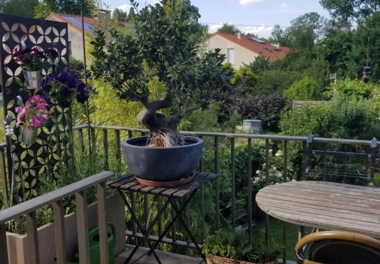 Pictures of catherine M.'s house