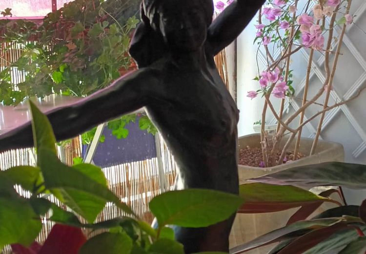 Pictures of Bernadette's house