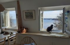 Apartment with 1 cat in Dinard