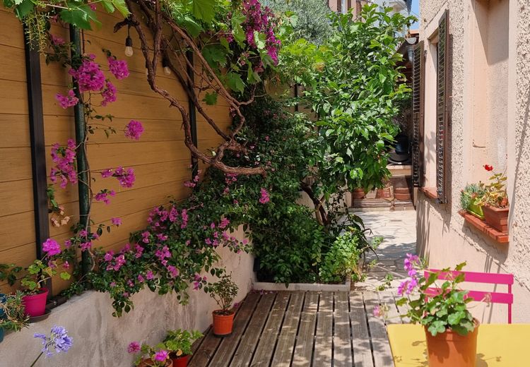 Pictures of Séverine G.'s house