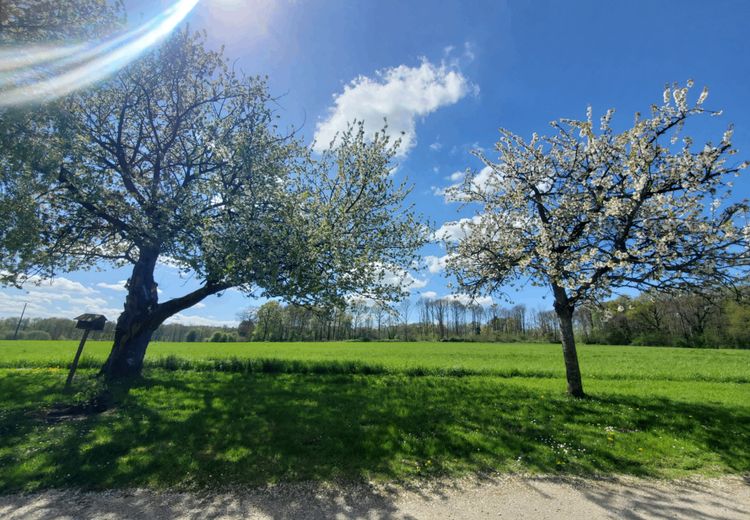 Fotos von Anne-sophie L. Haus