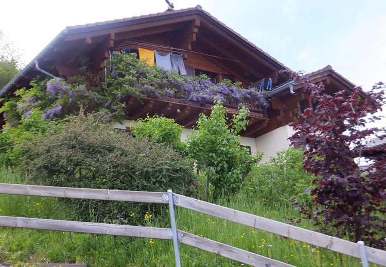 Pictures of Pierre Yves's house