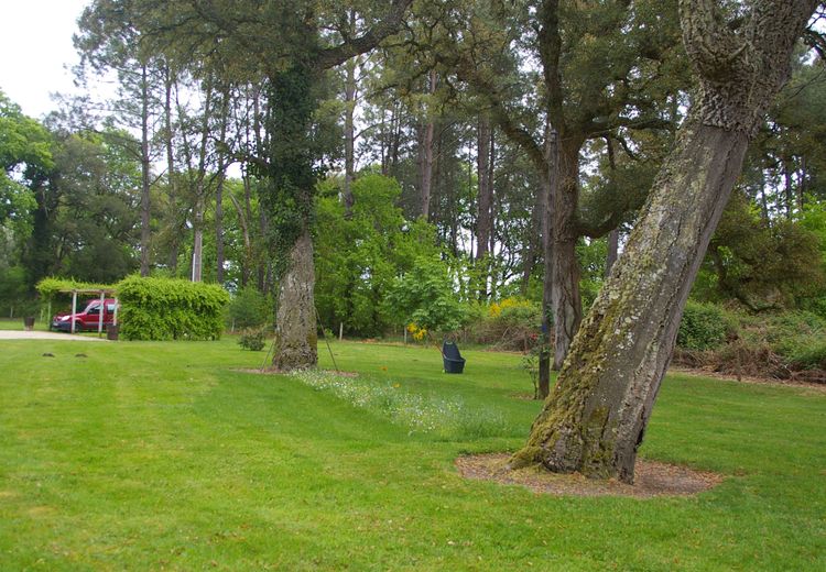 Pictures of Gérard B.'s house