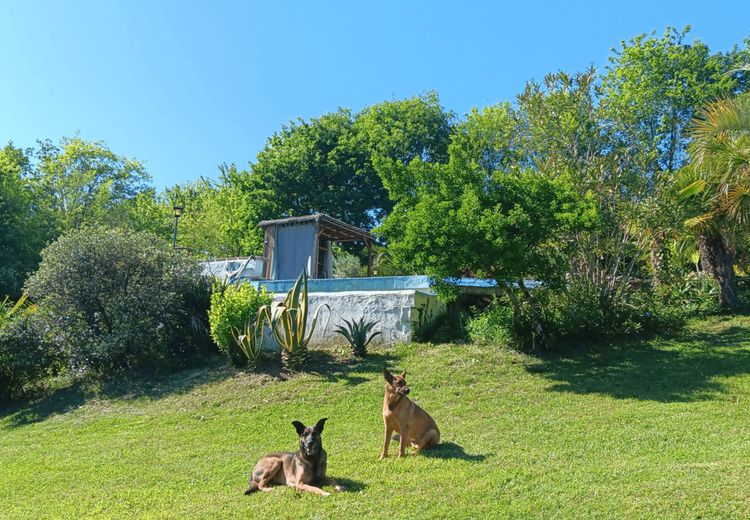 Pictures of Didier et Marie josé V.'s house
