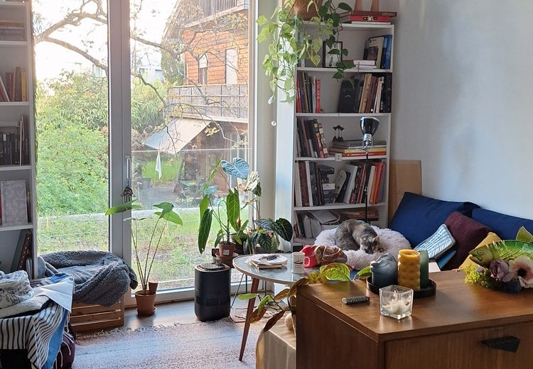 Pictures of Fiona's house