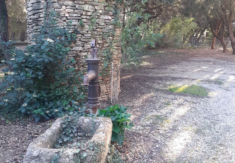 Fotos von Martine A. Haus