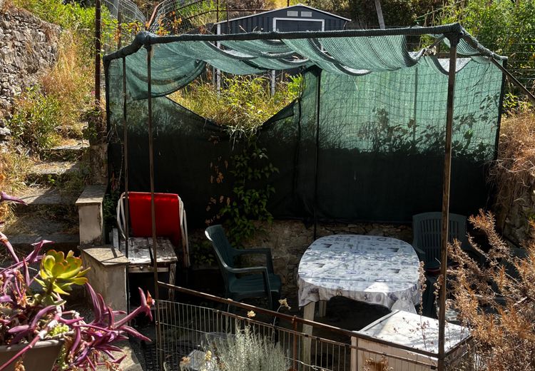 Pictures of Angelica's house