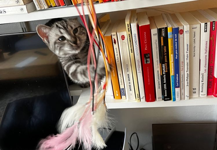 Des photos de la maison de Emilie