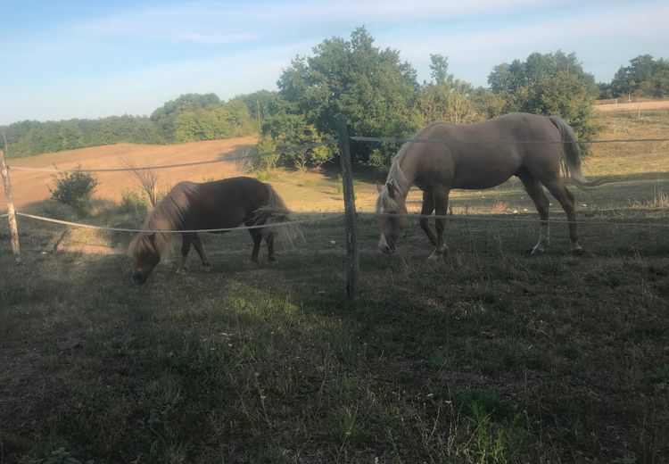 Des photos de la maison de Valérie et Jean-Marc L.