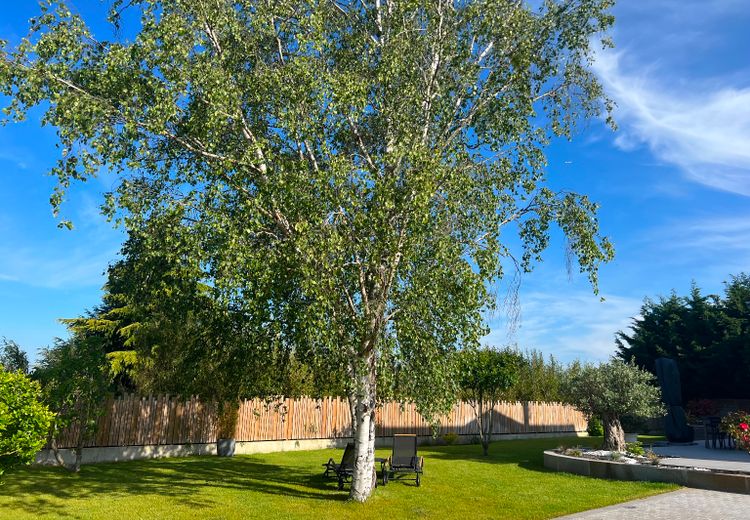 Des photos de la maison de Gwenaël L.