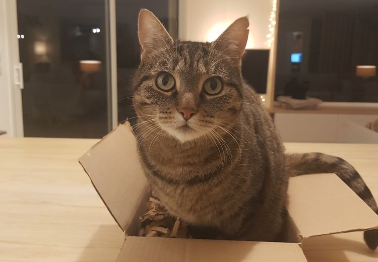 Des photos de la maison de Sylvie