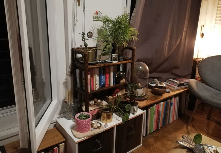 Fotos von Aline D. Haus