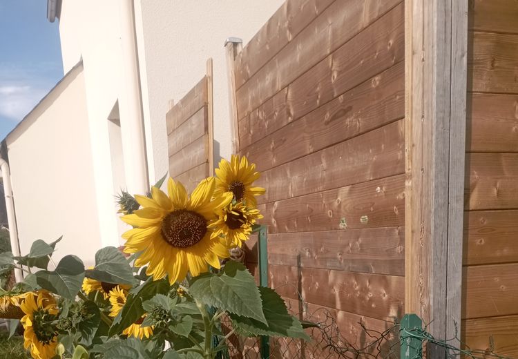 Des photos de la maison de Coralie N.
