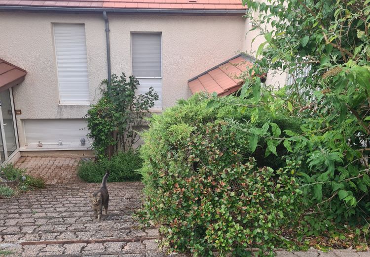 Pictures of Chloé's house
