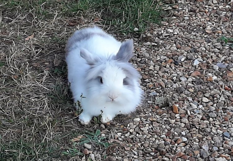 Fotos von Béa et sa famille -. Haus