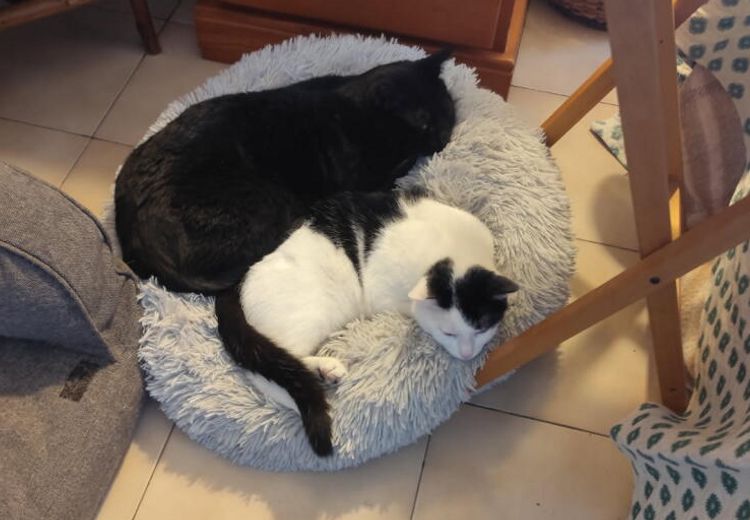 Des photos de la maison de Sandra