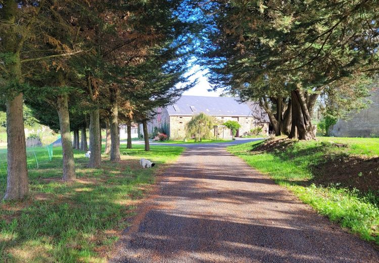 Des photos de la maison de denise T.