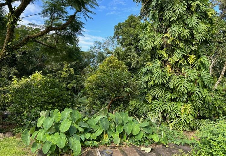 Pictures of Bilinbi's house