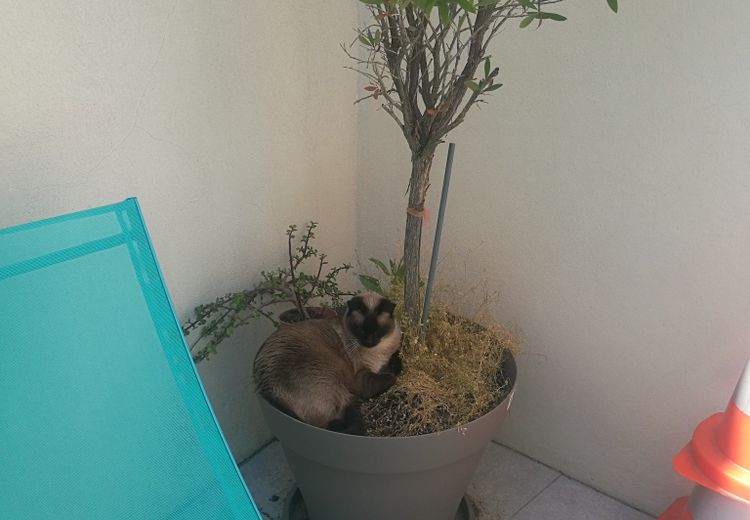 Pictures of Lucie G.'s house
