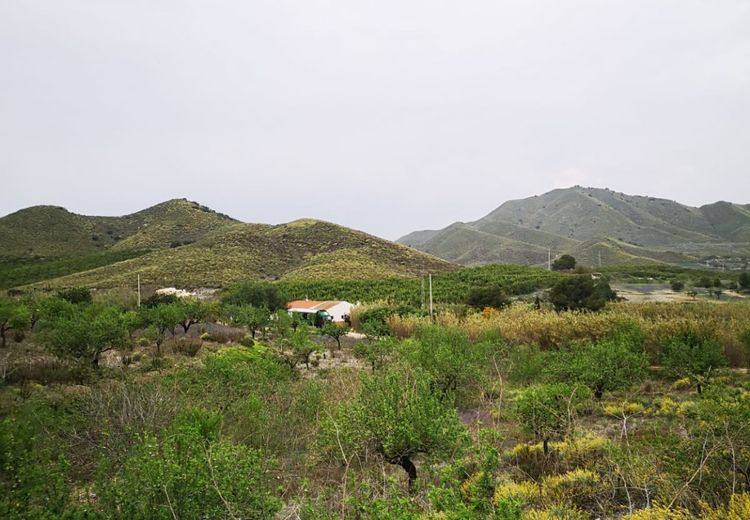 Pictures of Jens T.'s house