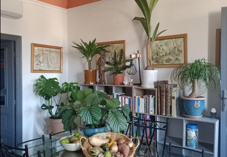 Pictures of Jeanne's house