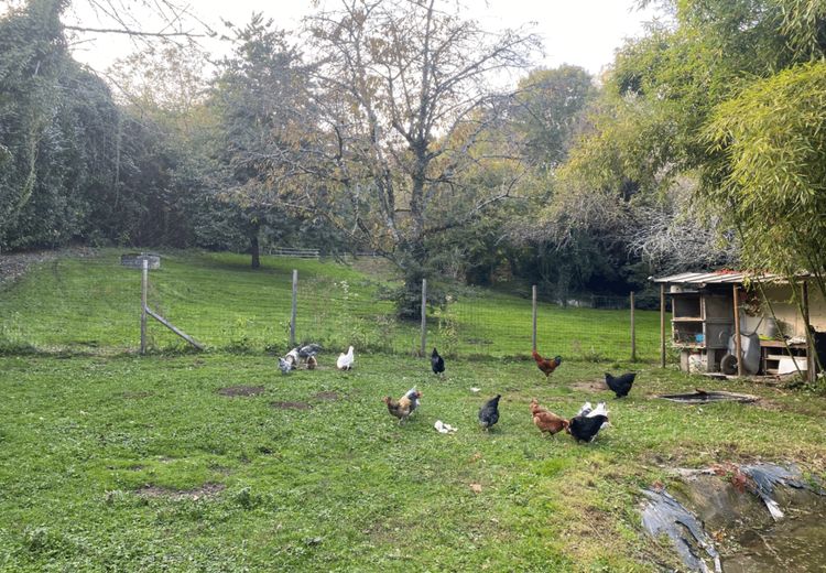 Des photos de la maison de Marie