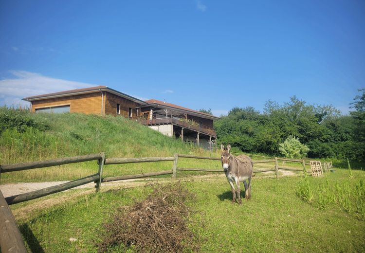 Des photos de la maison de Audrey F.