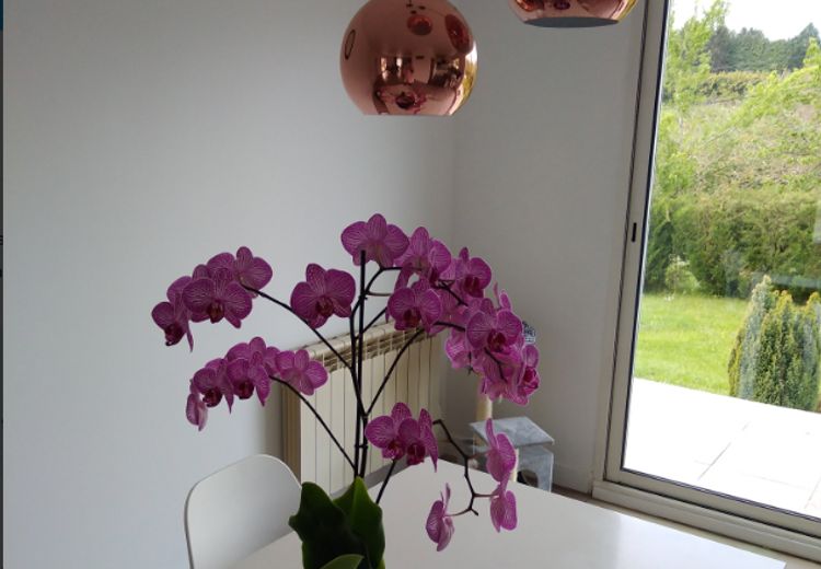 Pictures of Sylvie T.'s house